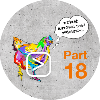 Feed_Efficiency_mit_Play_Button_Part18_Huhn.png